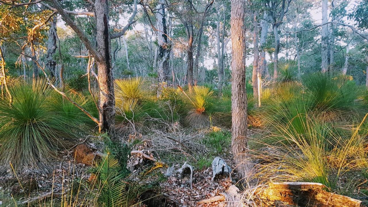 Bussells Bushland Cottages Margaret River Exterior photo