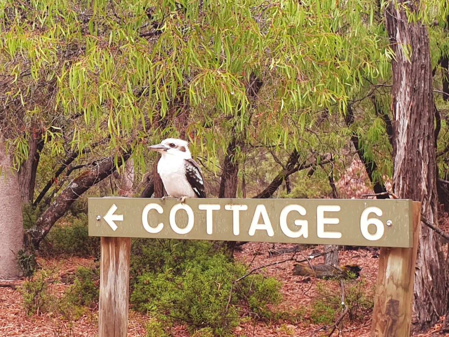 Bussells Bushland Cottages Margaret River Exterior photo