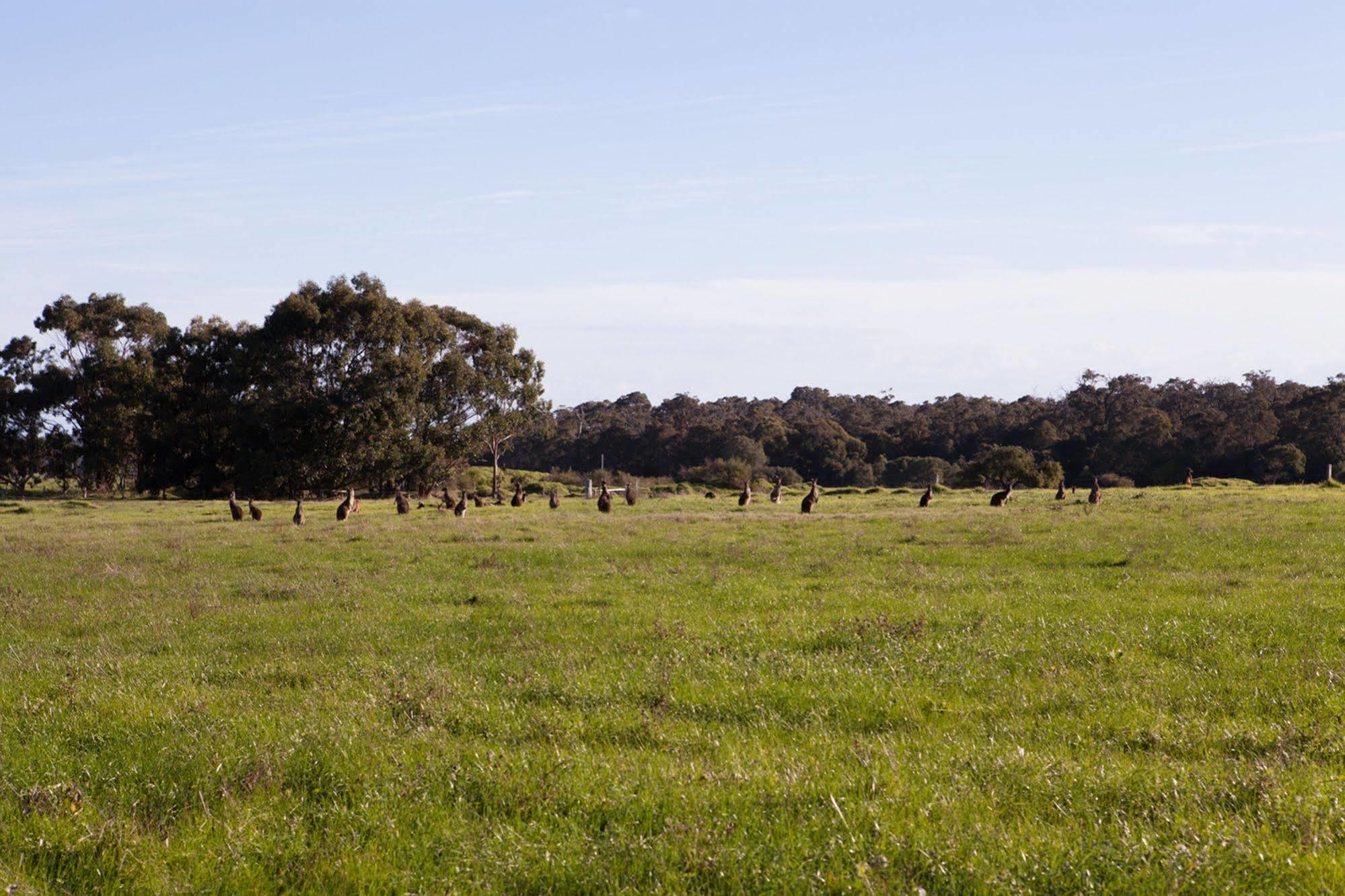 Bussells Bushland Cottages Margaret River Exterior photo